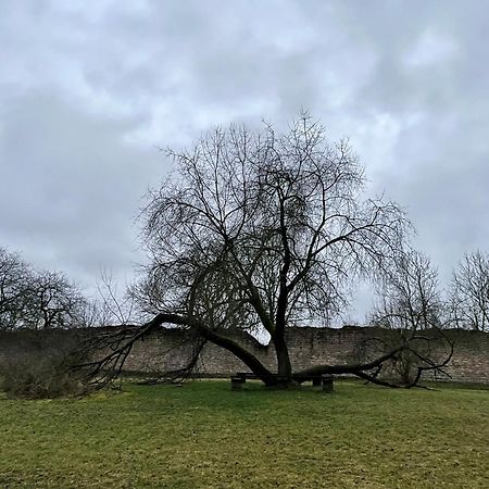 Delux Ferienwohnung Kunstgalerie Und Ilmradweg Kranichfeld Екстериор снимка