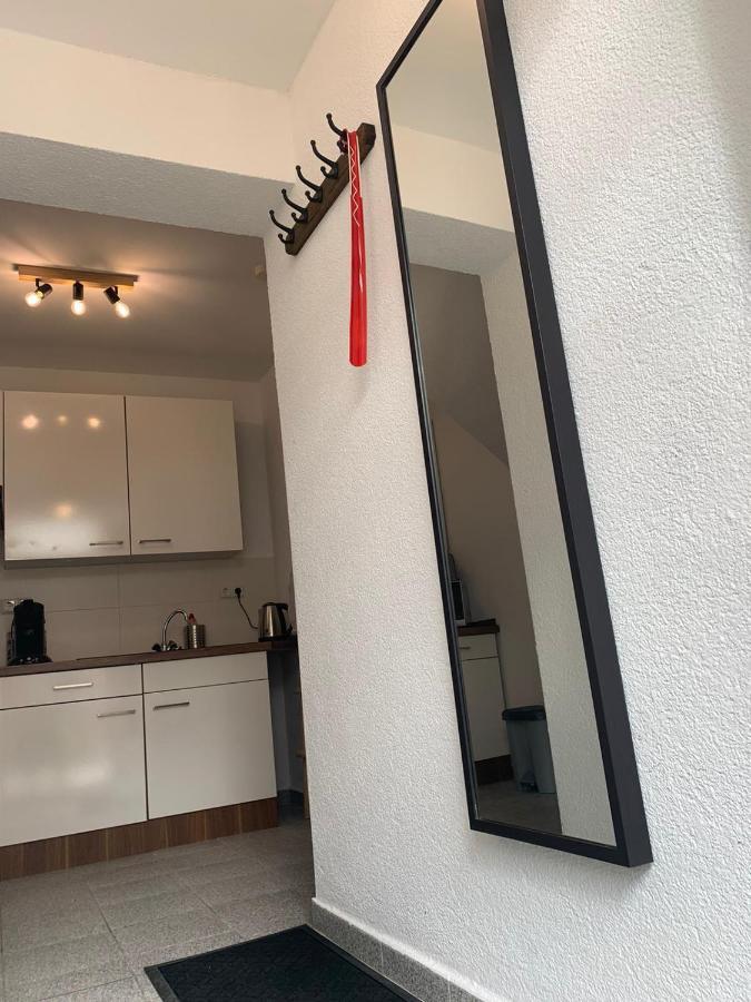 Delux Ferienwohnung Kunstgalerie Und Ilmradweg Kranichfeld Екстериор снимка