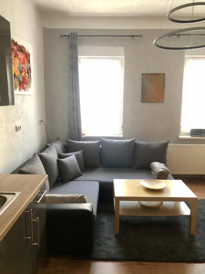 Delux Ferienwohnung Kunstgalerie Und Ilmradweg Kranichfeld Екстериор снимка