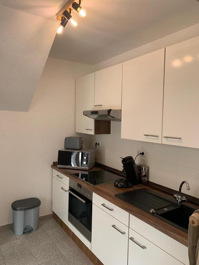 Delux Ferienwohnung Kunstgalerie Und Ilmradweg Kranichfeld Екстериор снимка