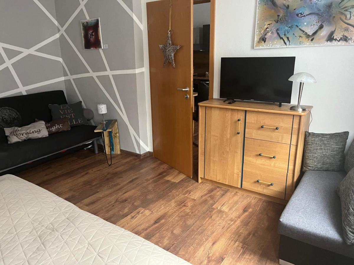 Delux Ferienwohnung Kunstgalerie Und Ilmradweg Kranichfeld Екстериор снимка