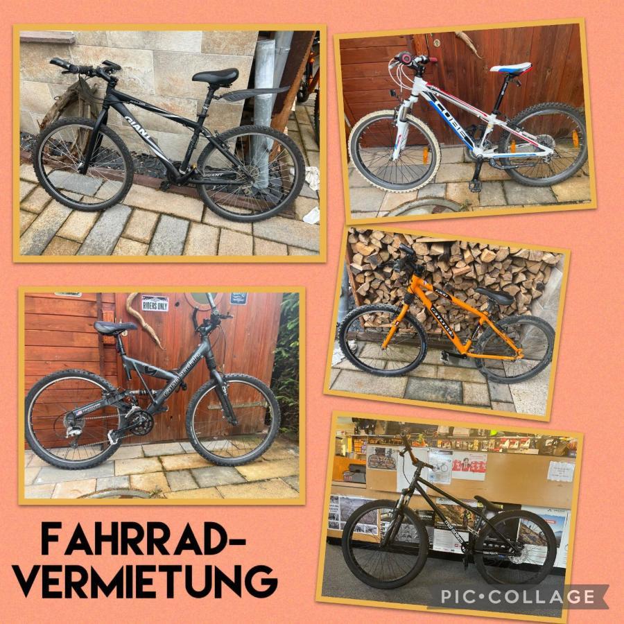 Delux Ferienwohnung Kunstgalerie Und Ilmradweg Kranichfeld Екстериор снимка