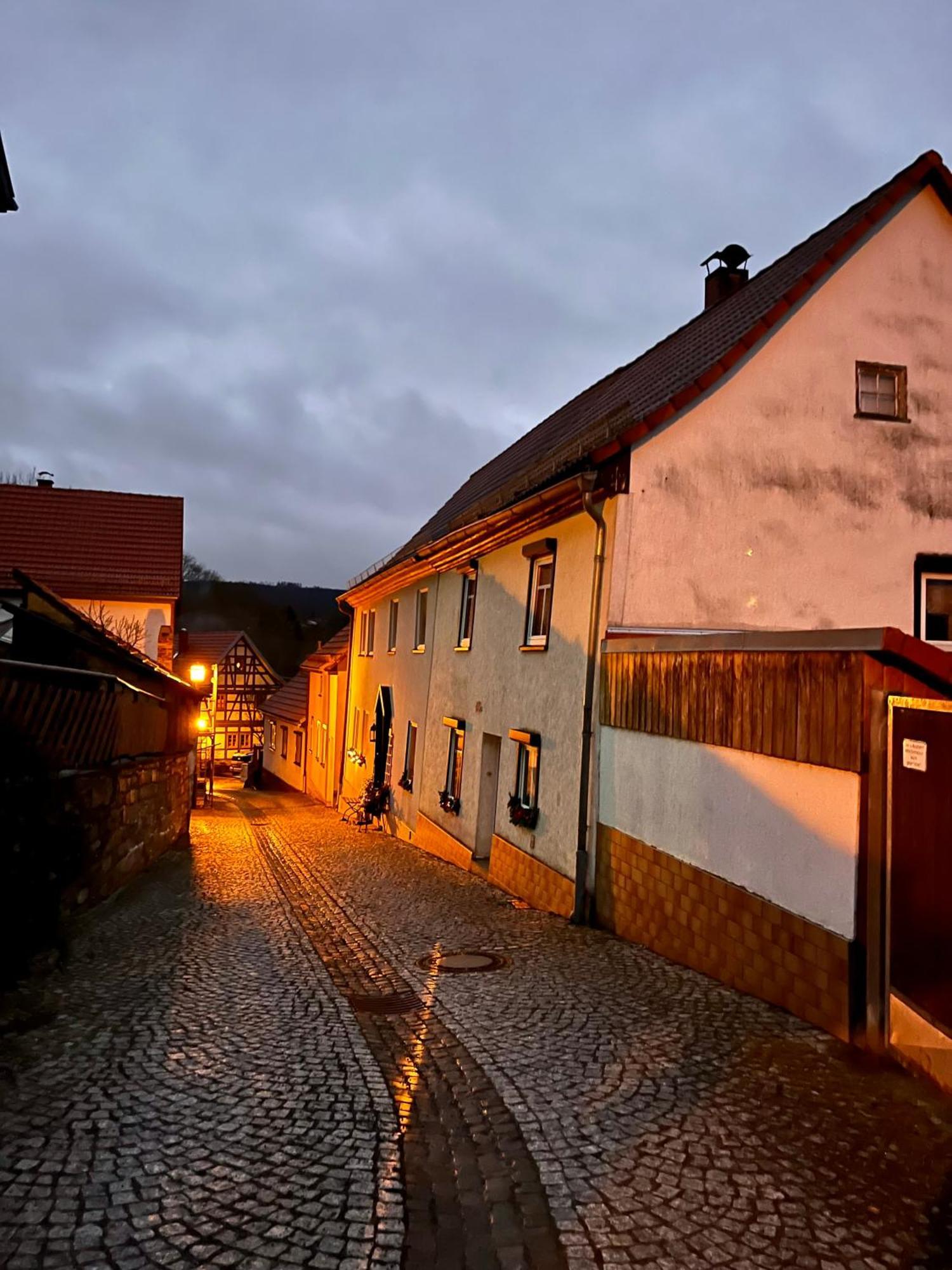 Delux Ferienwohnung Kunstgalerie Und Ilmradweg Kranichfeld Екстериор снимка